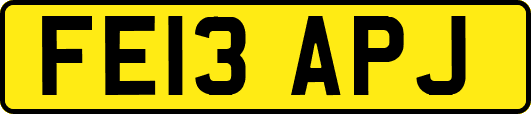 FE13APJ