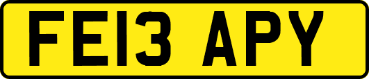 FE13APY