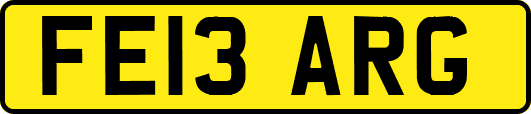 FE13ARG