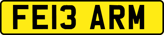 FE13ARM