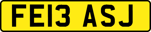 FE13ASJ