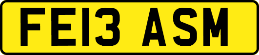 FE13ASM