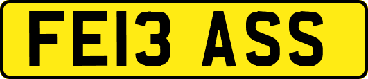 FE13ASS