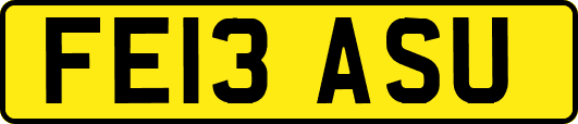 FE13ASU