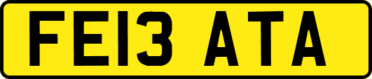FE13ATA