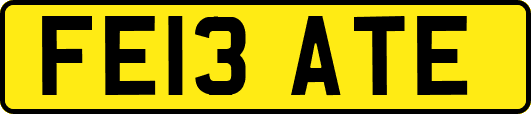 FE13ATE