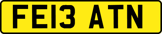 FE13ATN