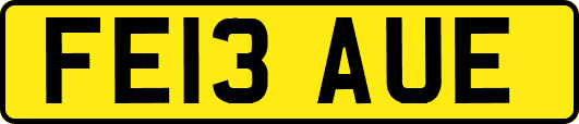 FE13AUE