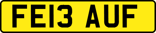 FE13AUF