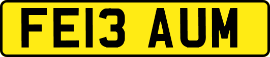 FE13AUM