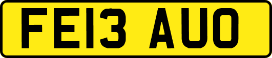 FE13AUO