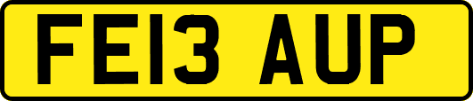 FE13AUP