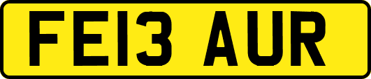 FE13AUR