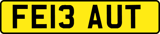 FE13AUT