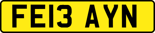 FE13AYN