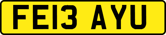 FE13AYU