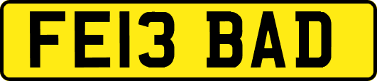 FE13BAD