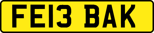 FE13BAK