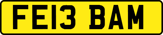 FE13BAM
