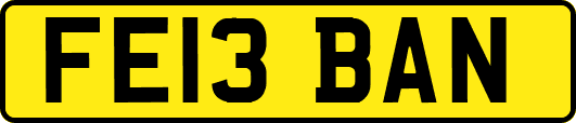 FE13BAN