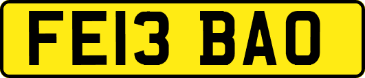 FE13BAO