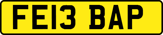 FE13BAP