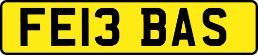 FE13BAS