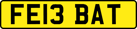 FE13BAT