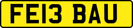 FE13BAU