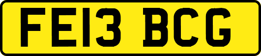 FE13BCG