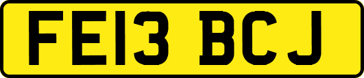 FE13BCJ