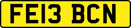 FE13BCN