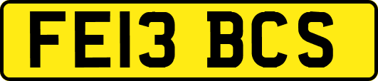 FE13BCS