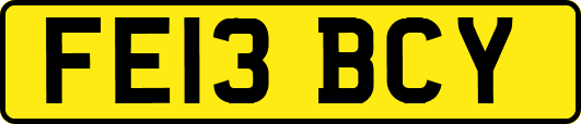 FE13BCY