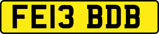 FE13BDB