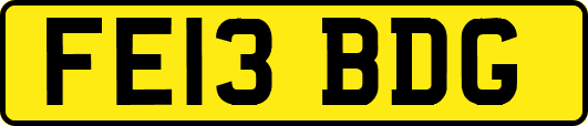 FE13BDG