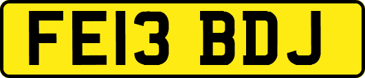 FE13BDJ