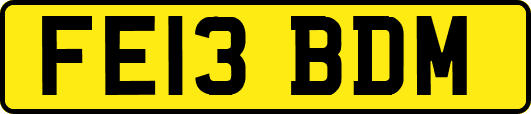 FE13BDM