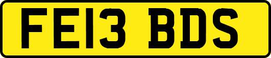 FE13BDS