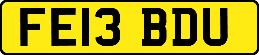 FE13BDU
