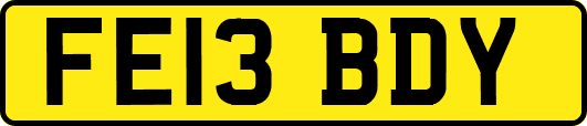 FE13BDY