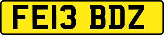 FE13BDZ