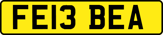 FE13BEA