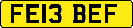 FE13BEF