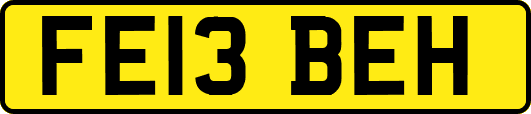 FE13BEH