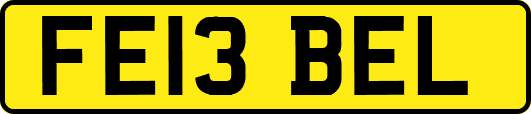 FE13BEL