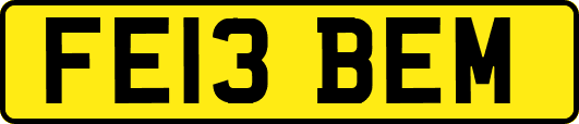 FE13BEM