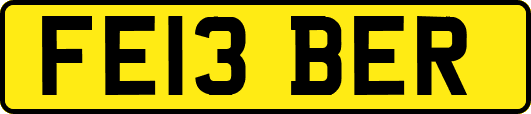 FE13BER