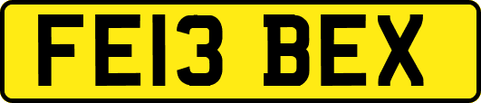 FE13BEX