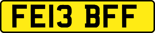FE13BFF